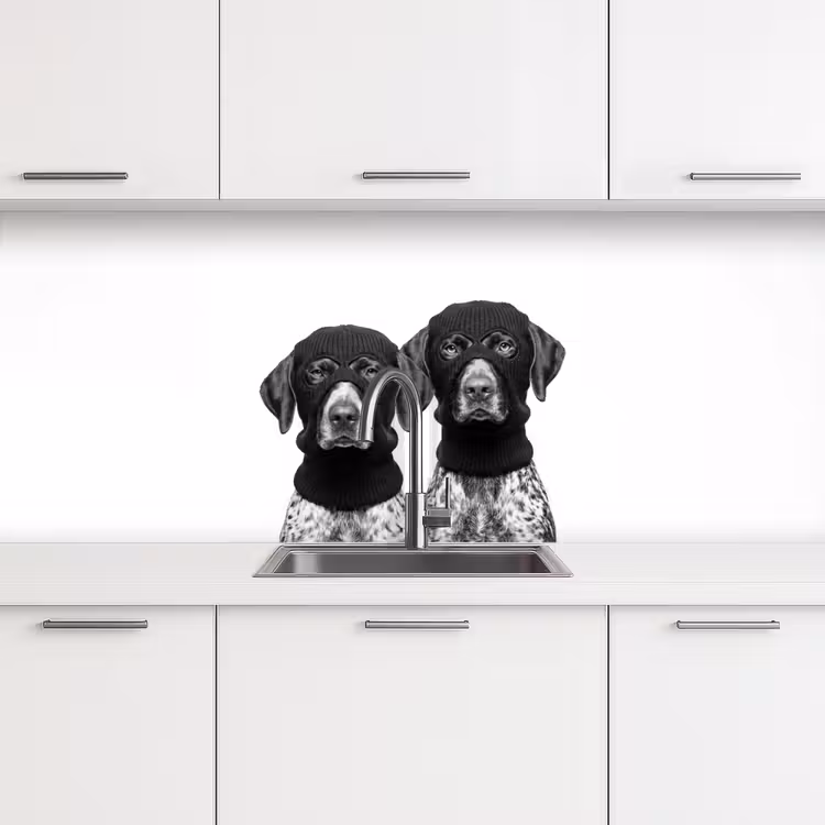 Schienale cucina - Cani - passamontagna - Nero - bianco — 4