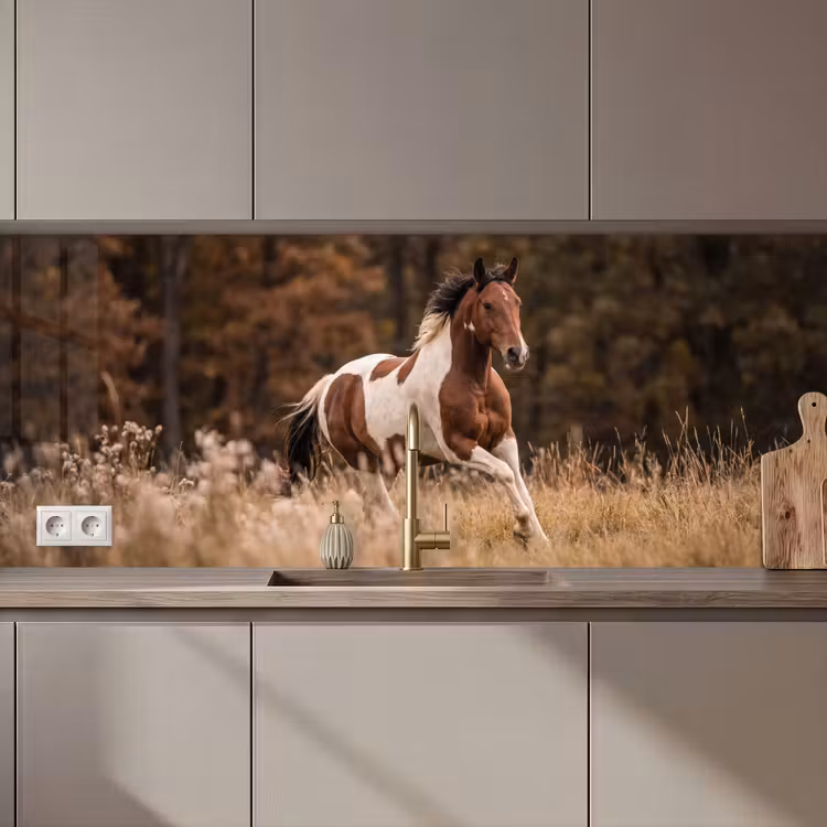 Schienale cucina - Cavallo - Marrone - Erba — 1