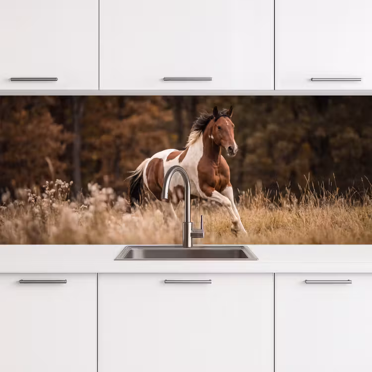 Schienale cucina - Cavallo - Marrone - Erba — 4