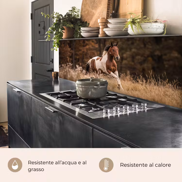 Schienale cucina - Cavallo - Marrone - Erba — 5