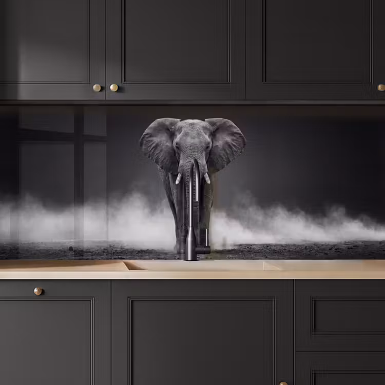 Schienale cucina - Elefante - Nero - Bianco - Fumo — 6