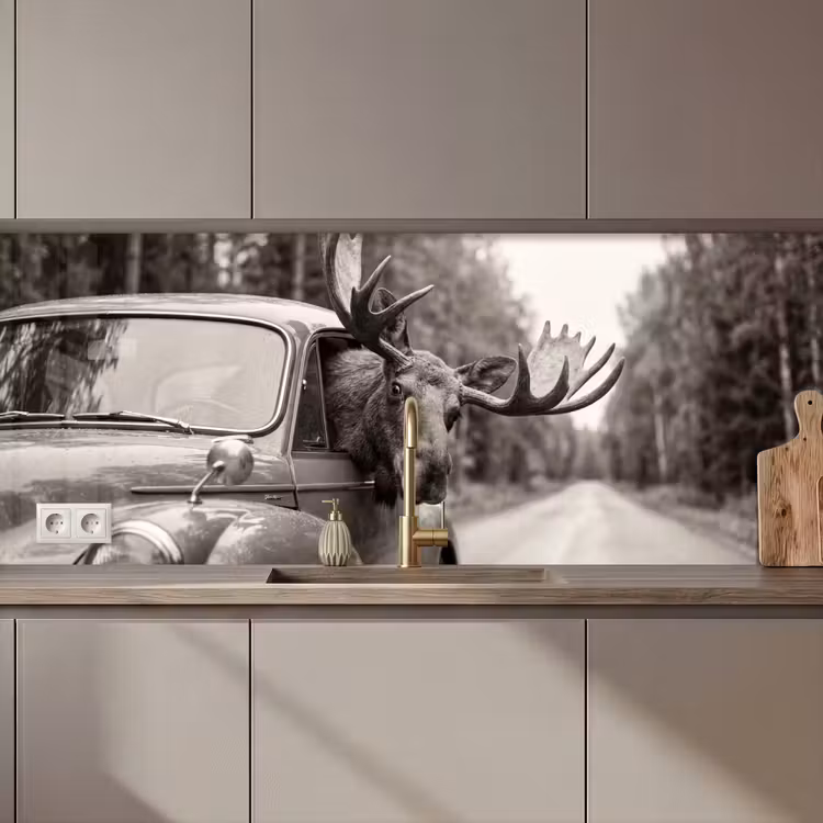 Schienale cucina - Alce - Auto - Corna - Nero - Bianco — 1
