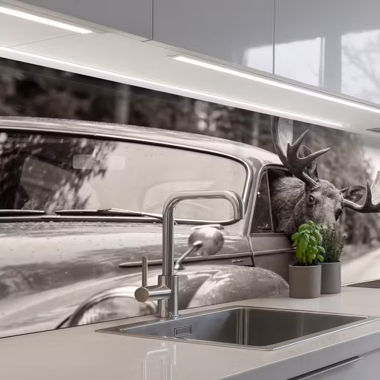 Schienale cucina - Alce - Auto - Corna - Nero - Bianco — 2
