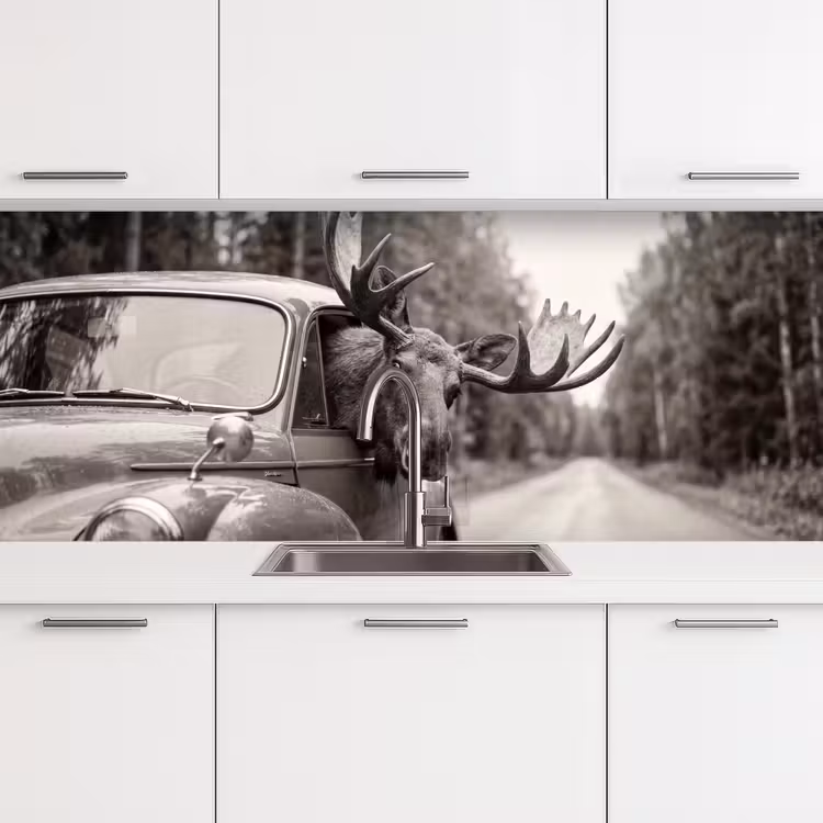Schienale cucina - Alce - Auto - Corna - Nero - Bianco — 4
