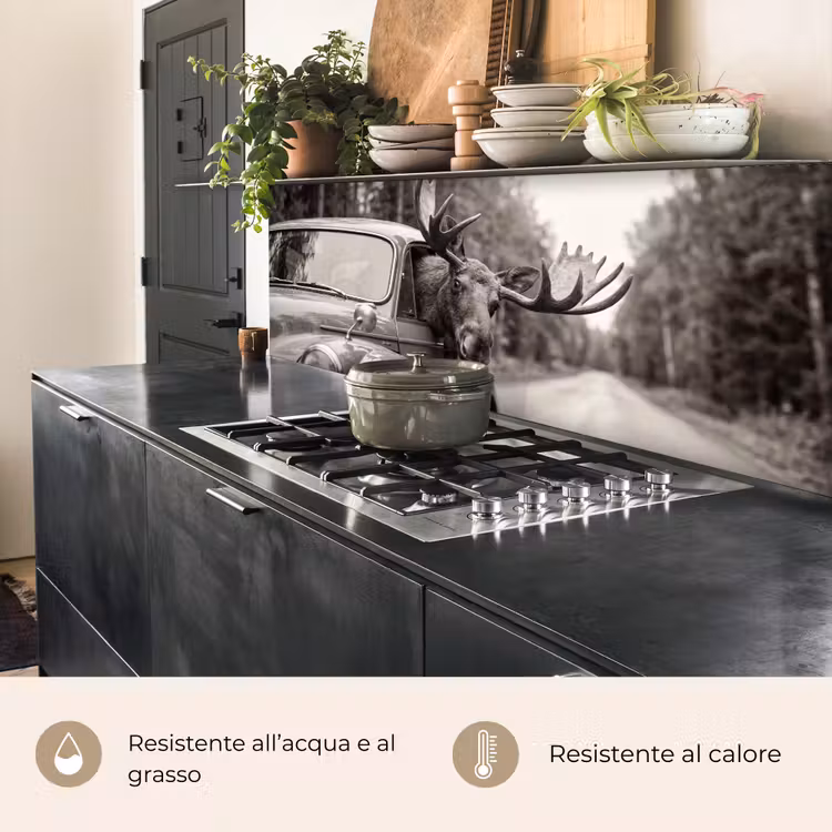 Schienale cucina - Alce - Auto - Corna - Nero - Bianco — 5