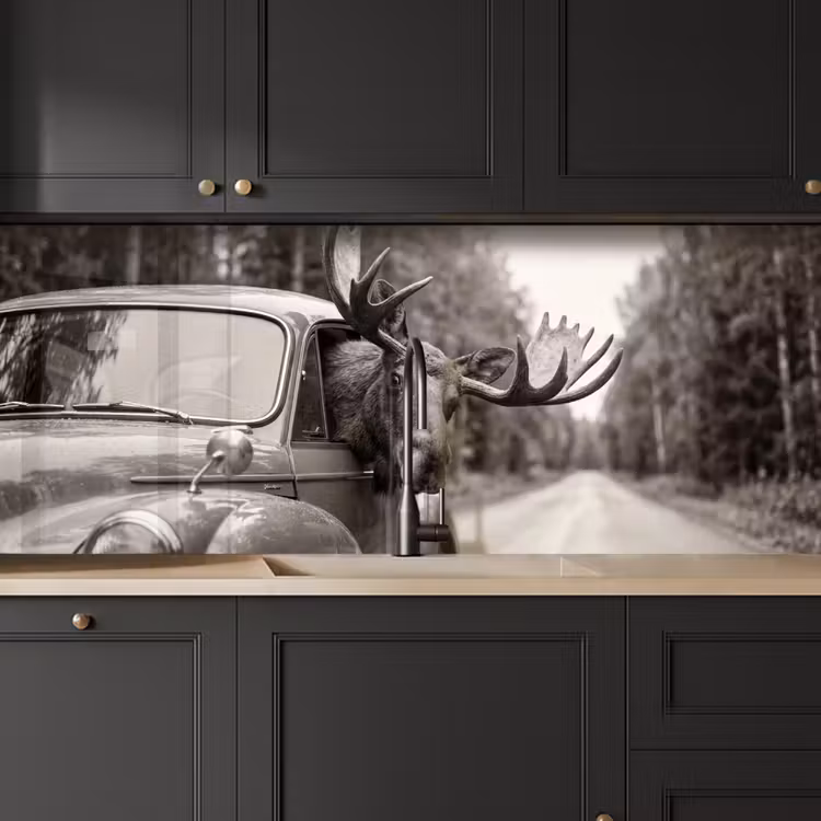 Schienale cucina - Alce - Auto - Corna - Nero - Bianco — 6