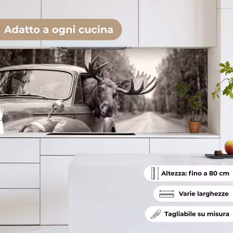 Schienale cucina - Alce - Auto - Corna - Nero - Bianco — 7