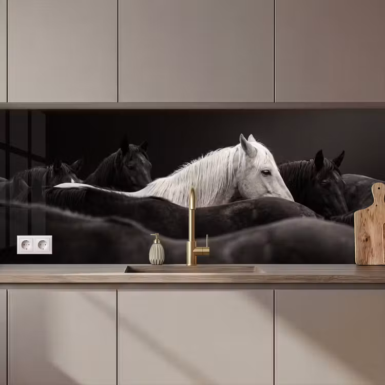 Schienale cucina - Cavalli - Nero - Bianco - Branco — 1