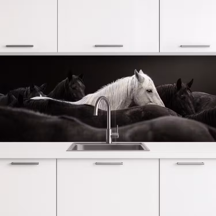 Schienale cucina - Cavalli - Nero - Bianco - Branco — 4