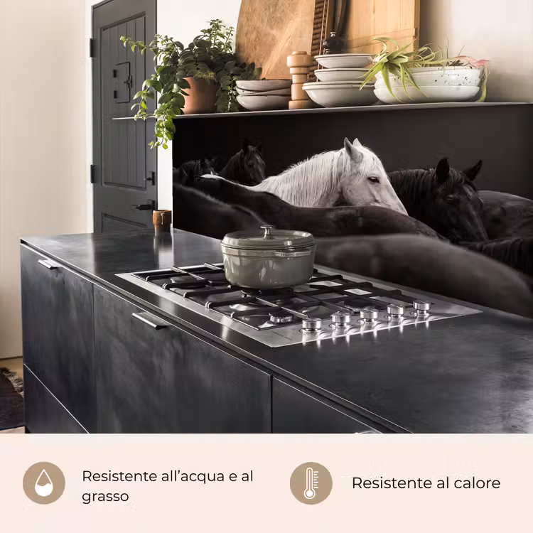 Schienale cucina - Cavalli - Nero - Bianco - Branco — 5