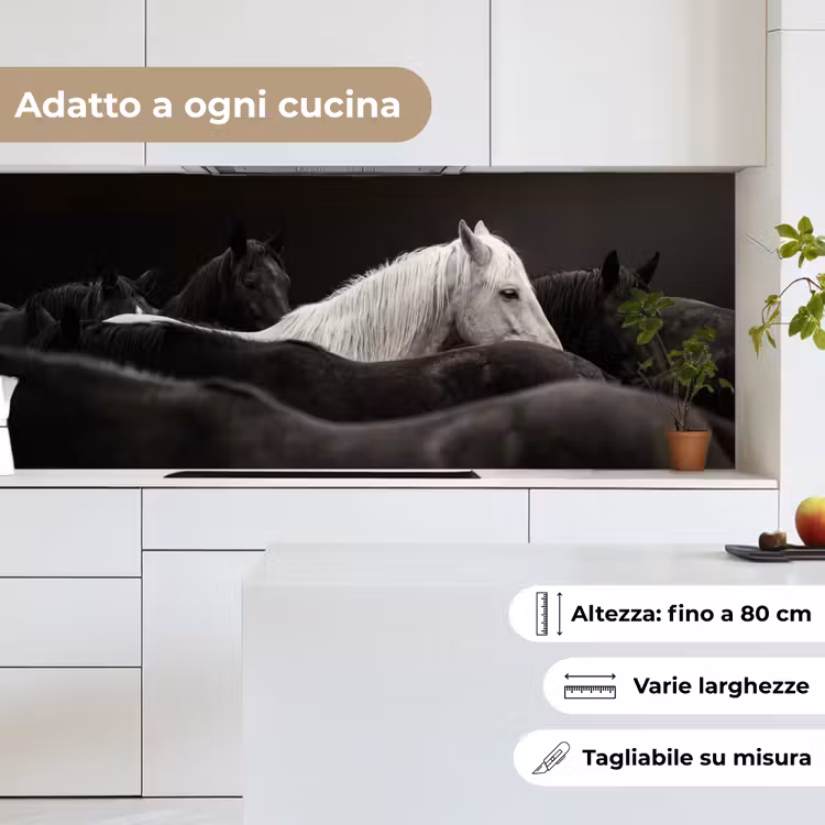 Schienale cucina - Cavalli - Nero - Bianco - Branco — 7