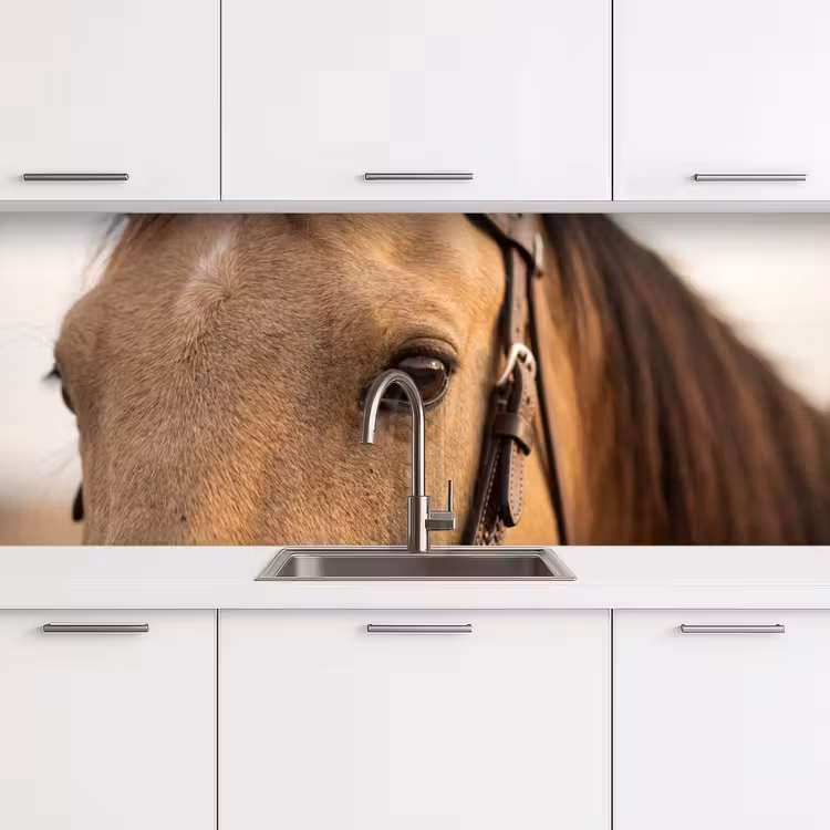 Schienale cucina - Cavallo - Occhio - Marrone — 4