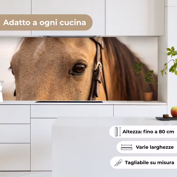 Schienale cucina - Cavallo - Occhio - Marrone — 7