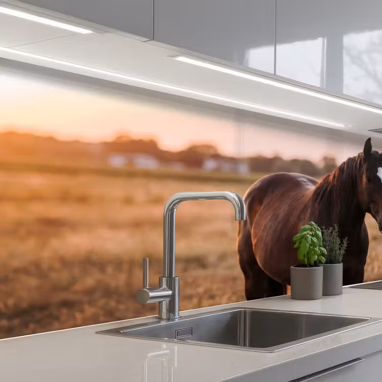 Schienale cucina - Cavallo - Tramonto - Marrone — 2
