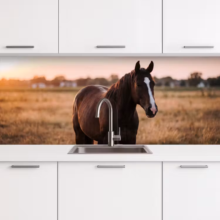 Schienale cucina - Cavallo - Tramonto - Marrone — 4
