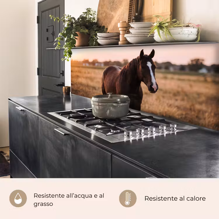 Schienale cucina - Cavallo - Tramonto - Marrone — 5