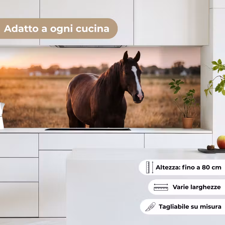 Schienale cucina - Cavallo - Tramonto - Marrone — 7