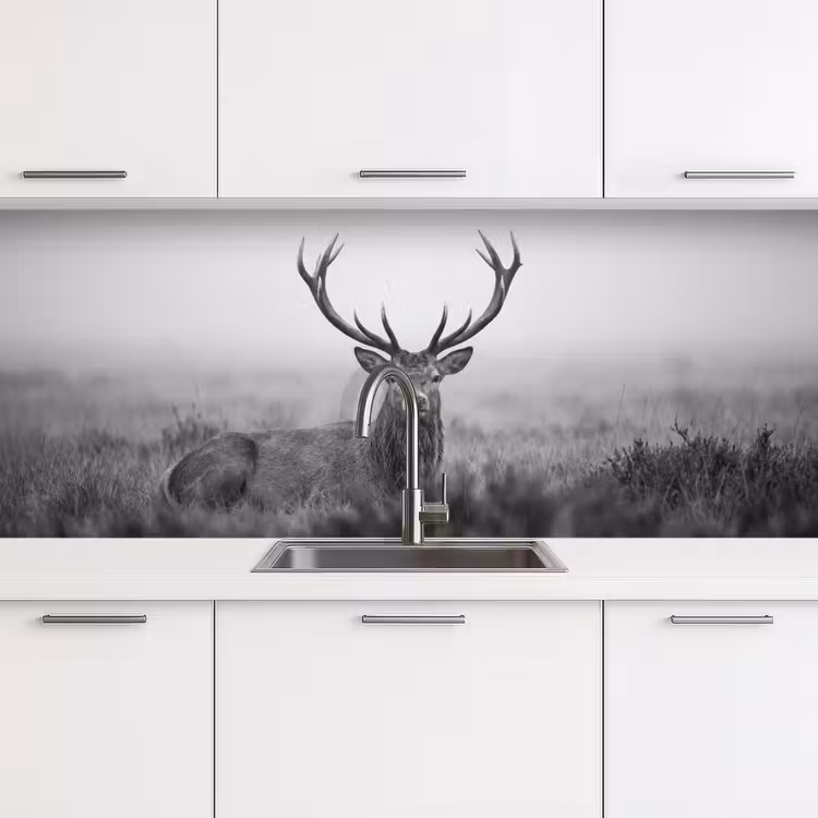 Schienale cucina - Cervo - Nebbia - Nero - Bianco — 4