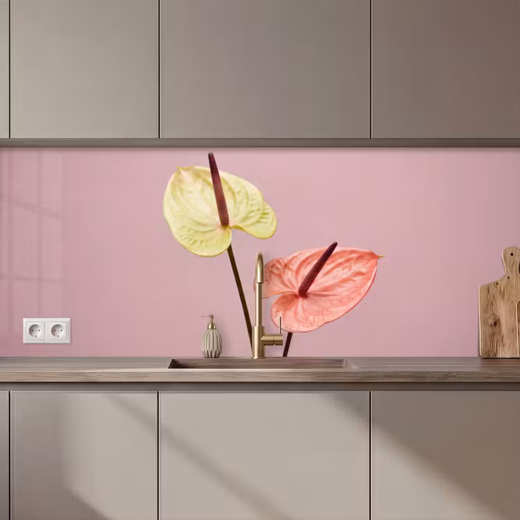 Schienale cucina - Fiori - Anthurium - Giallo - Rosa — 1