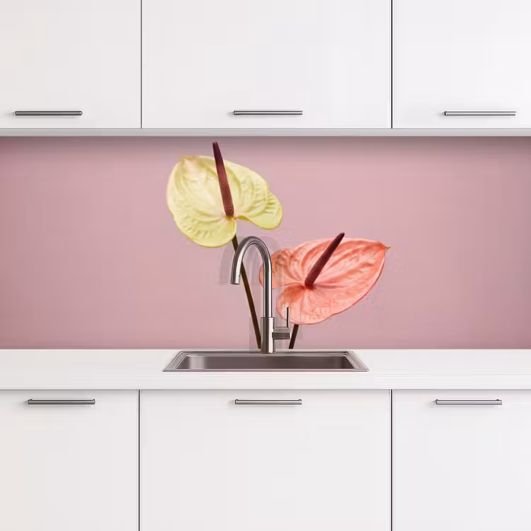 Schienale cucina - Fiori - Anthurium - Giallo - Rosa — 4