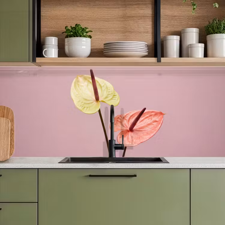 Schienale cucina - Fiori - Anthurium - Giallo - Rosa — 8