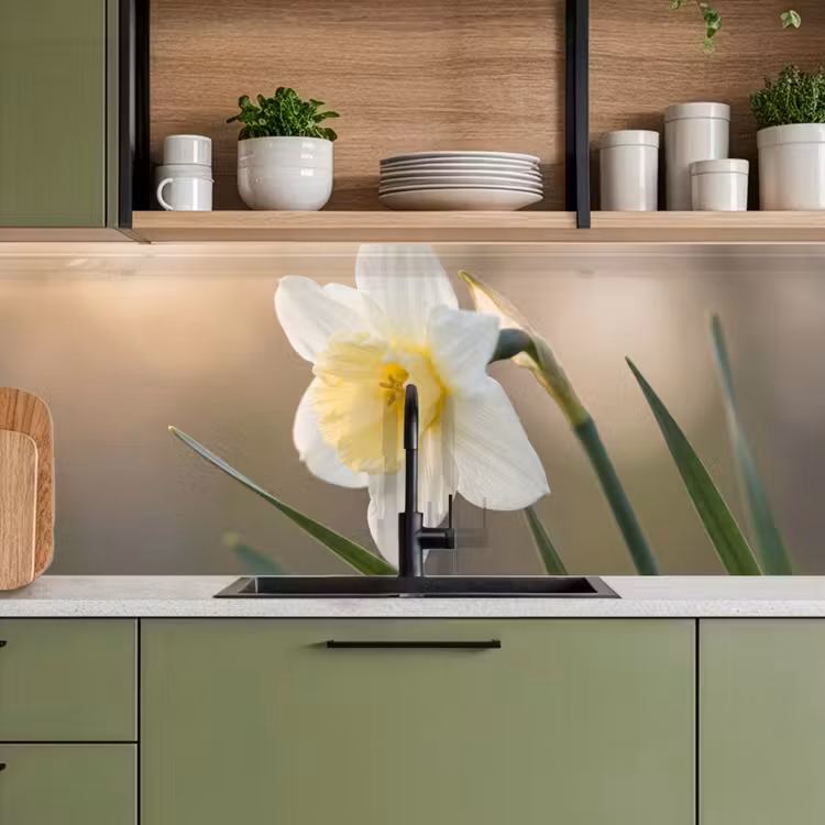 Schienale cucina - Giunchiglia - Fiore - Minimalista — 8