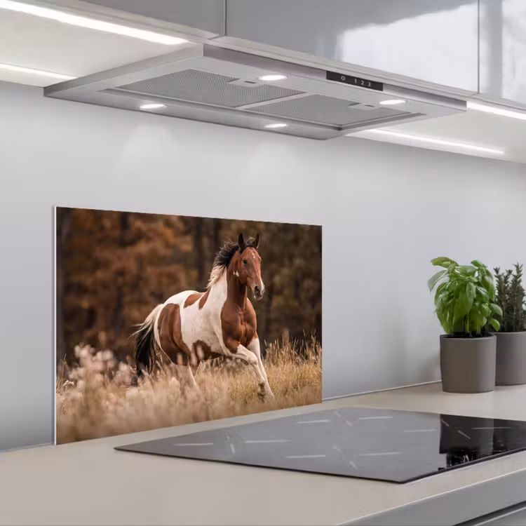 Paraschizzi cucina - Cavallo - Marrone - Erba — 1