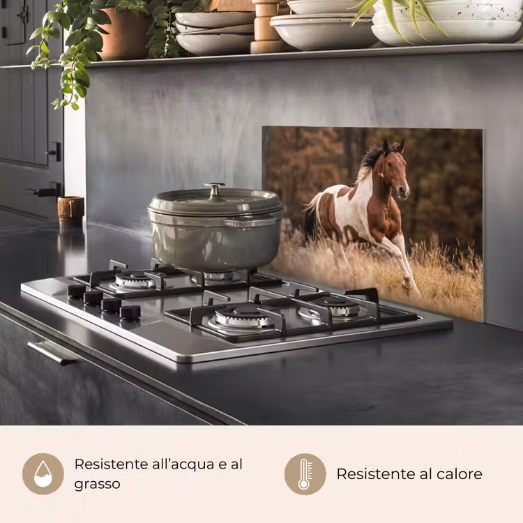Paraschizzi cucina - Cavallo - Marrone - Erba — 2