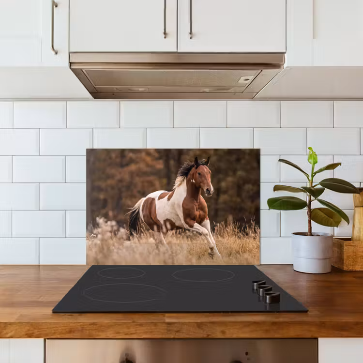 Paraschizzi cucina - Cavallo - Marrone - Erba — 3