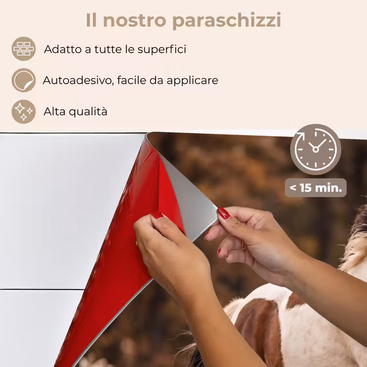 Paraschizzi cucina - Cavallo - Marrone - Erba — 4