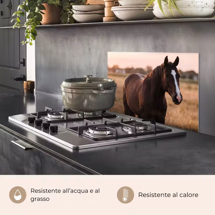 Paraschizzi cucina - Cavallo - Tramonto - Marrone — 2