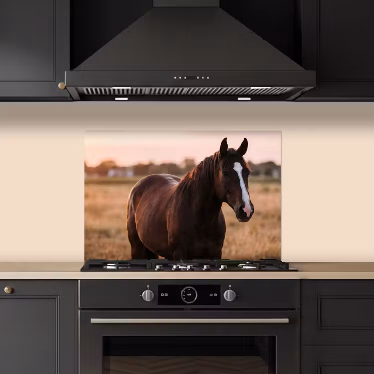 Paraschizzi cucina - Cavallo - Tramonto - Marrone — 5