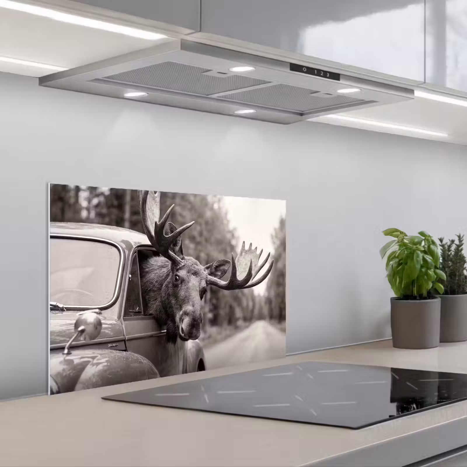 Paraschizzi cucina - Alce - Auto - Corna - Nero - Bianco — 1