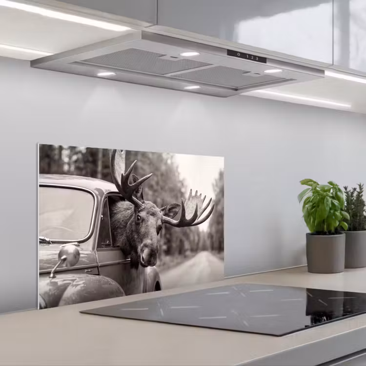 Paraschizzi cucina - Alce - Auto - Corna - Nero - Bianco — 1