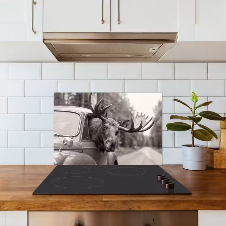 Paraschizzi cucina - Alce - Auto - Corna - Nero - Bianco — 3