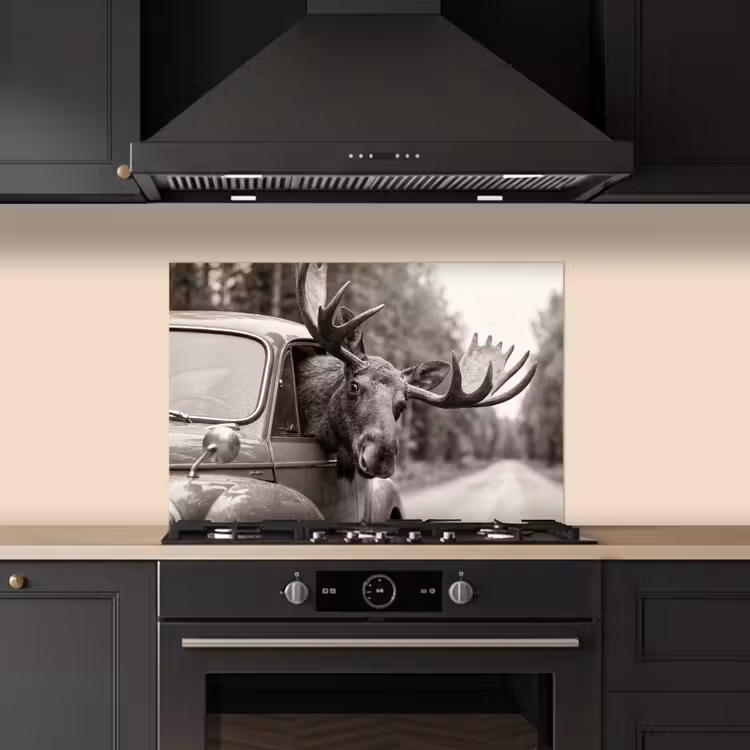 Paraschizzi cucina - Alce - Auto - Corna - Nero - Bianco — 5