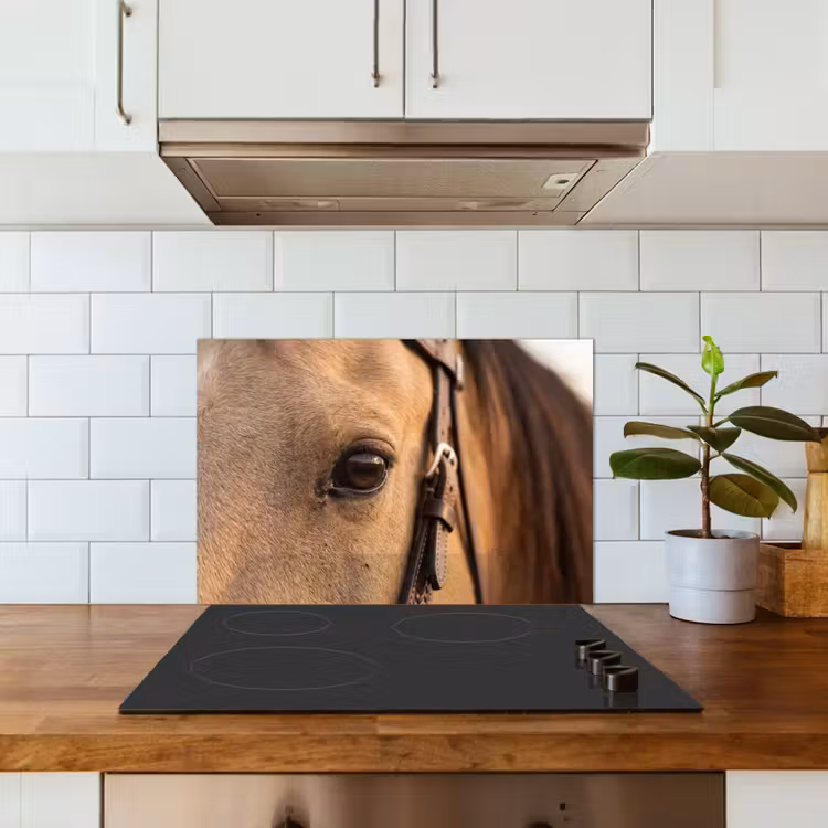 Paraschizzi cucina - Cavallo - Occhio - Marrone — 3