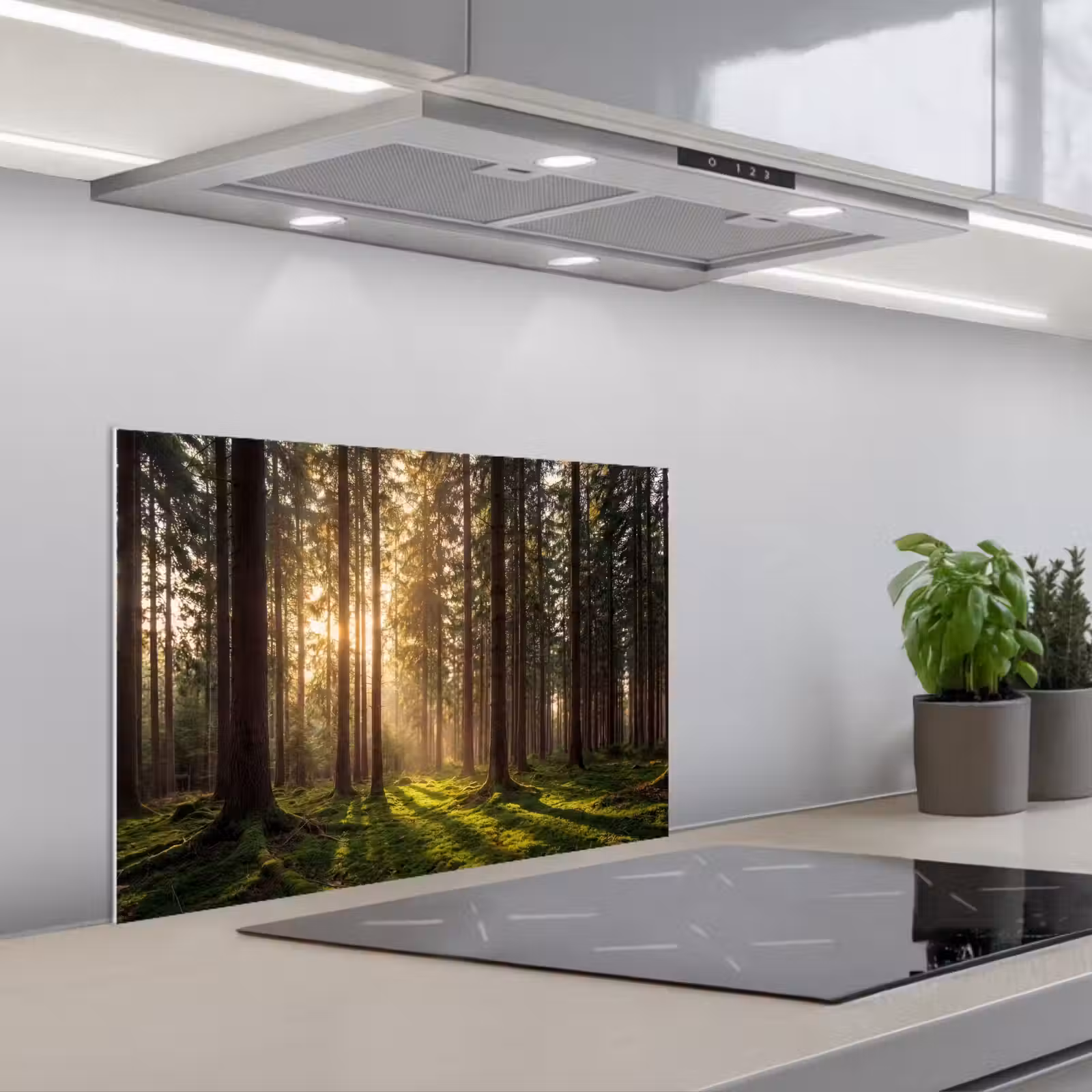 Paraschizzi cucina - Foresta - Erba - Luce del sole — 1