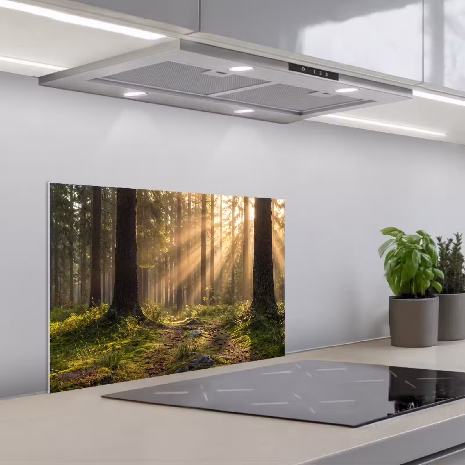 Paraschizzi cucina - Foresta - Luce solare - Erba — 1
