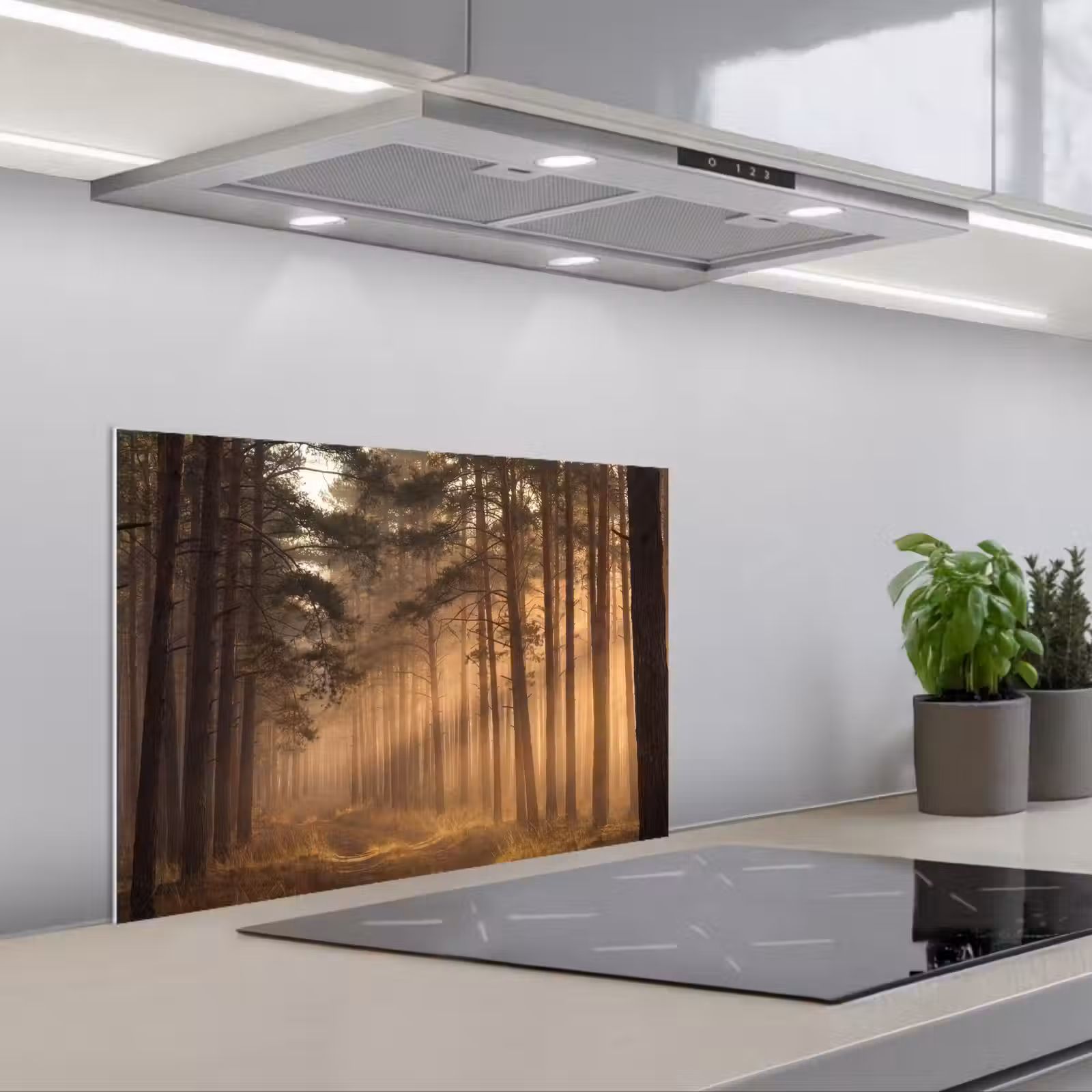 Paraschizzi cucina - Foresta - Nebbia - Luce del sole — 1