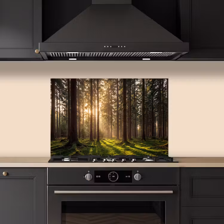 Paraschizzi cucina - Foresta - Erba - Luce del sole — 5