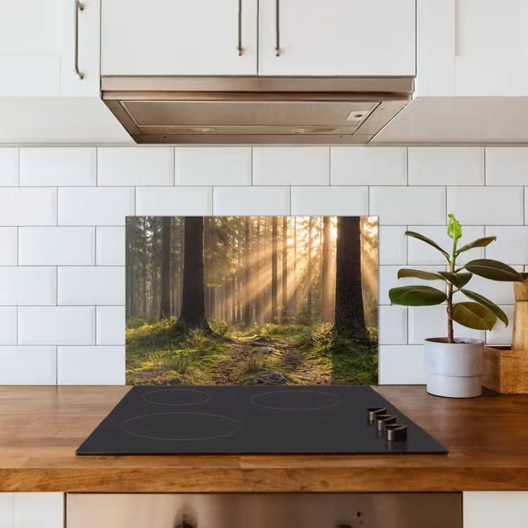 Paraschizzi cucina - Foresta - Luce solare - Erba — 3