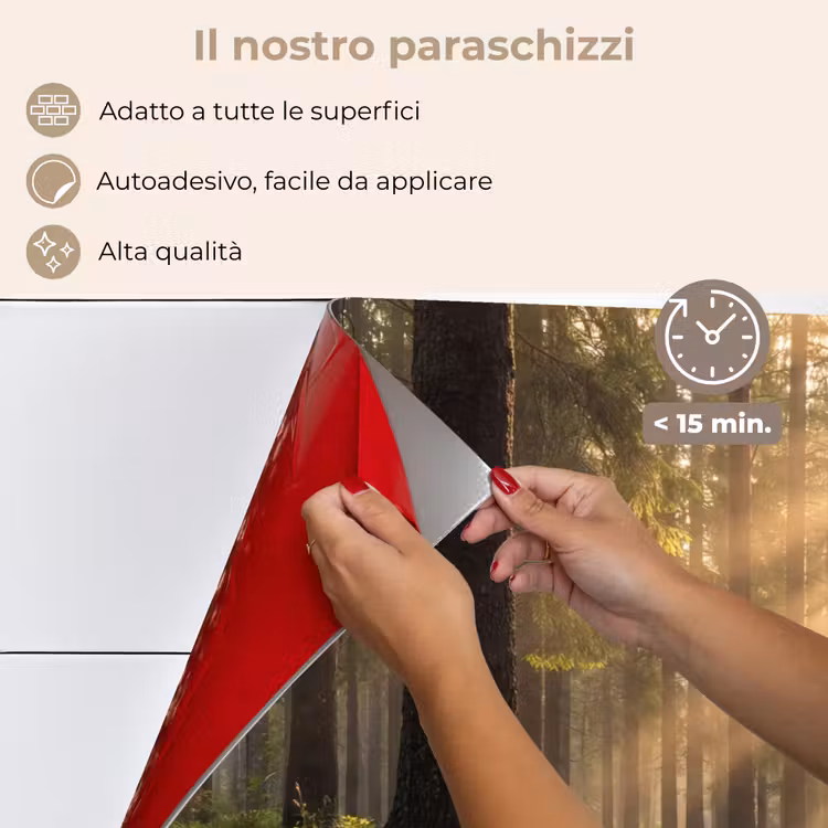 Paraschizzi cucina - Foresta - Luce solare - Erba — 4