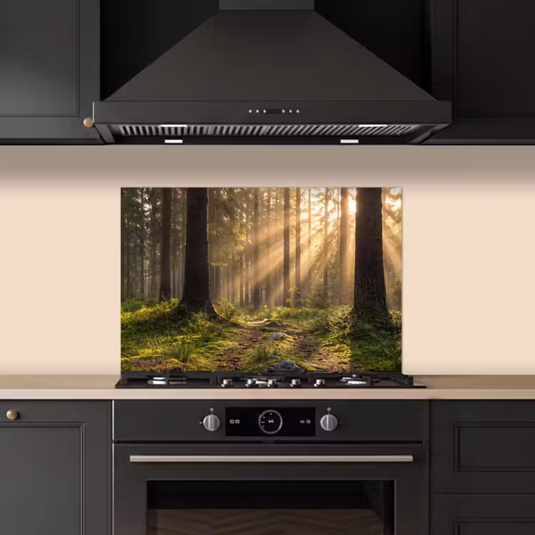 Paraschizzi cucina - Foresta - Luce solare - Erba — 5