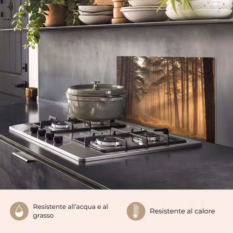 Paraschizzi cucina - Foresta - Nebbia - Luce del sole — 2