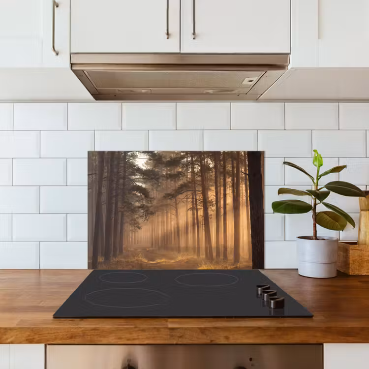 Paraschizzi cucina - Foresta - Nebbia - Luce del sole — 3