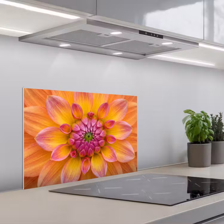 Paraschizzi cucina - Dalia - Fiore - Arancione — 1