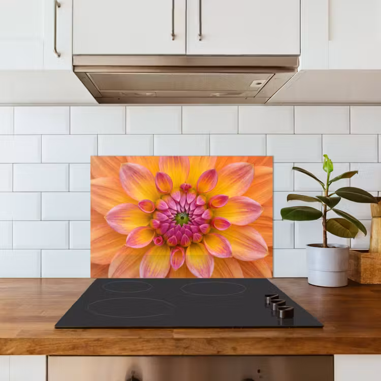 Paraschizzi cucina - Dalia - Fiore - Arancione — 3
