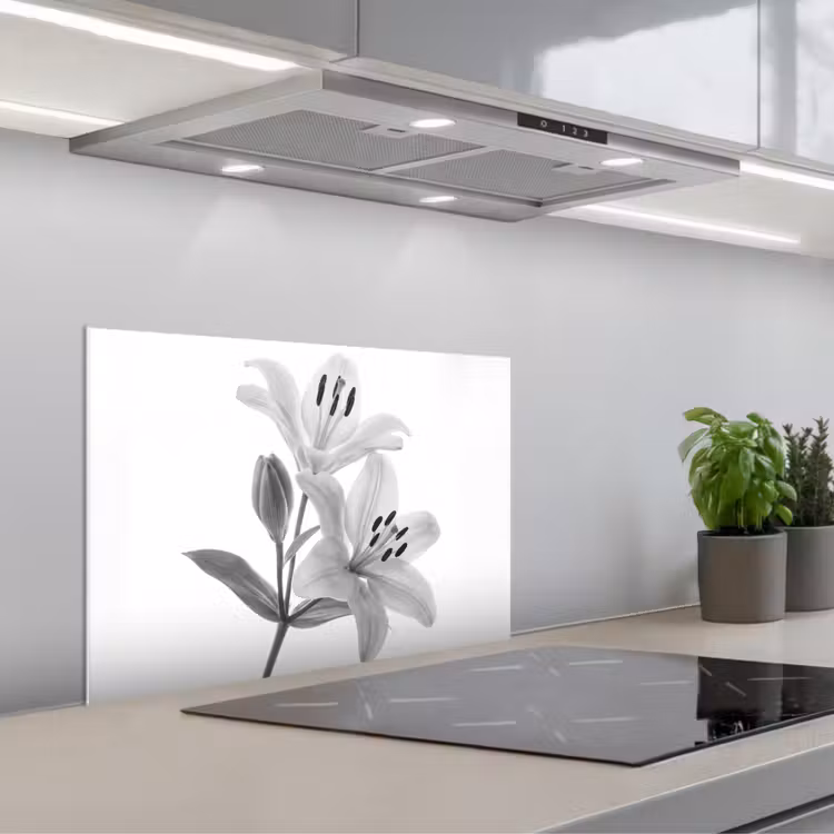 Paraschizzi cucina - Gigli - Elegante - Nero - Bianco — 1