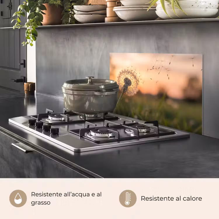 Paraschizzi cucina - Dente di leone - Tramonto - Campo — 2